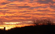 1landschaft190.jpg