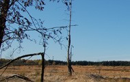 2landschaft190.jpg