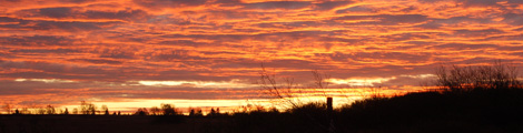 1landschaft470.jpg