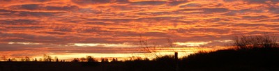 1landschaft470.jpg