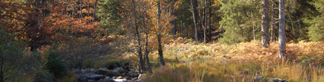 1natur470.jpg