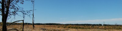 2landschaft470.jpg
