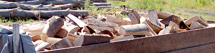 Brennholz