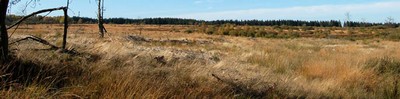 natur5.jpg