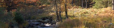 natur6.jpg